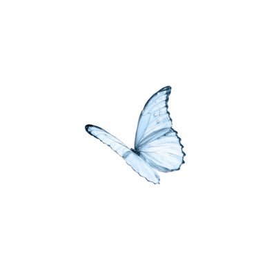 ﴿ أَلَا بِذِكْرِ اللَّهِ تَطْمَئِنُّ الْقُلُوبُ ﴾