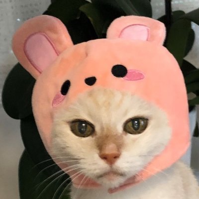 Tommy2626Muy's profile picture. 現代の闇を知りましょう。食の危険。医療の闇。
経済。政治。近い未来の黄金時代へGo。
動物癒し・スピリットなど・・・幅広くTommyが感じたこれ!