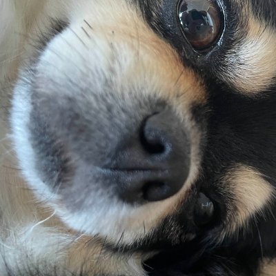 rowsai's profile picture. ■ゲームとバイク大好きおじさんです。