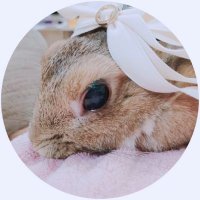 いぶ (@ibucchifc) 's Twitter Profile