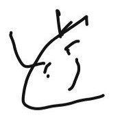 rr4180191454441's profile picture. 