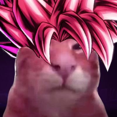 lumaiさんのプロフィール画像