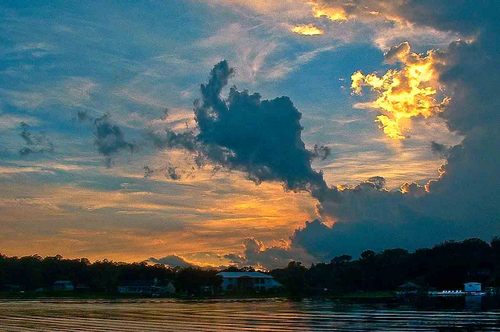 LakeWeirRealty's profile picture. FL Real Estate Broker, investor, Photographer, my working vacations are planting crops on my KS farm