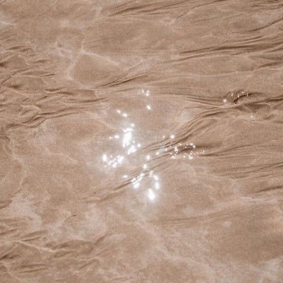 the_ahaelle's profile picture. 