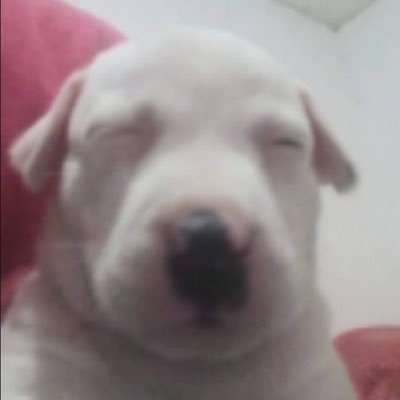 chrisLG2's profile picture. a mind is a terrible thing to waste