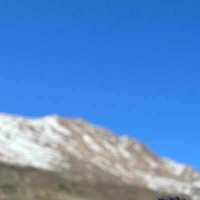 iamarjundesai's profile picture. .