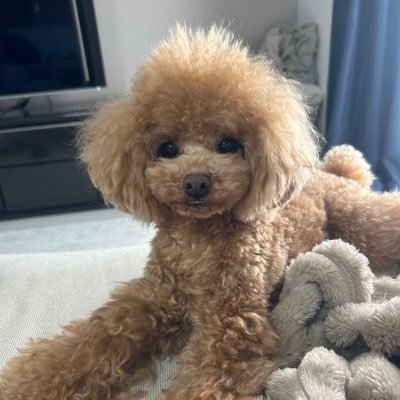 mochaaa0908's profile picture. 