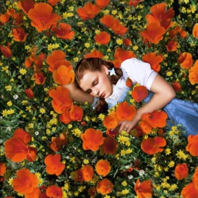 8845_kuma's profile picture. 迷わず僕を見つけて　🐻⭐
#카이는신이다　#NCTWISH #YUSHI