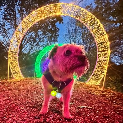 Lord Duncan Pickles Profile