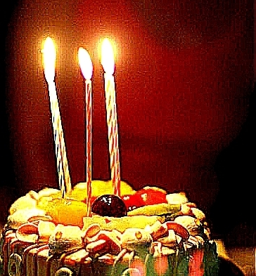 _showboxes's profile picture. 아 아프리카 가고싶다.