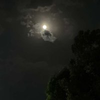 hanaa (@hanaaalrweily) 's Twitter Profile Photo