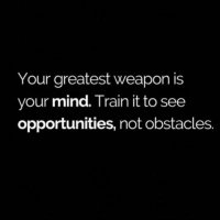 ŃK TWENTY3🫶♻️👀 (@nanakwameamu) 's Twitter Profile