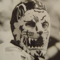 Nysse Nyström (@nyssenystrom) 's Twitter Profile Photo