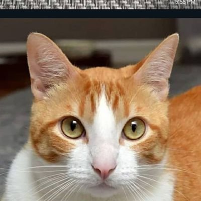 iamcaspo's profile picture. 4MRSJKRB