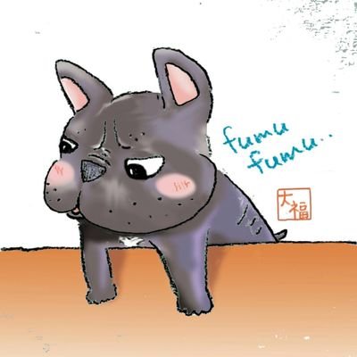 Fre_bull_D's profile picture. フレブル大福としばしのお別れ中　土産話をたくさん持っていけるように　楽しいことたくさんして　美味しいものたくさん食べたい