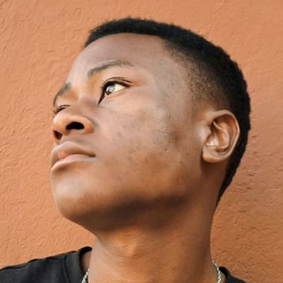 devmanasseh's profile picture. 22 | Software Engineer | 🕊️Stay Gold.