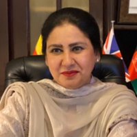 Anjum Hameed (@anjumhameed31) 's Twitter Profile