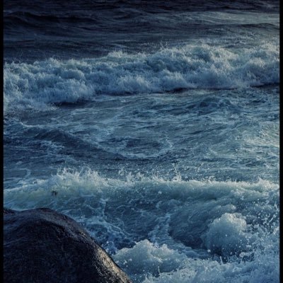 BERKEKAYA5959's profile picture. 