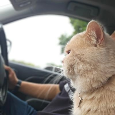 JuanVelaxquex's profile picture. 