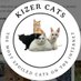 Kizer Cats (@kizercats) Twitter profile photo Kizer Cats (@kizercats) Twitter profile photo