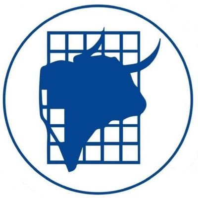 Asoc. El Toro de Madrid Profile