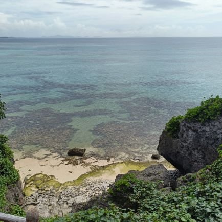 kouki_hosiyomi's profile picture. 