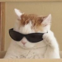 thememer (@thememerexist) 's Twitter Profile