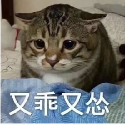 HerbertzSmart's profile picture. Small to mid-cap companies with disruptive technology across the US and China