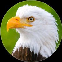 βͺπ¦
πππ¦ππππ₯βͺ (@bhr_0j) 's Twitter Profile
