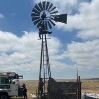 Tony (@tonyusafirst) 's Twitter Profile