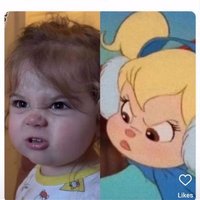 virginia_mary (@virginia_m1958) 's Twitter Profile