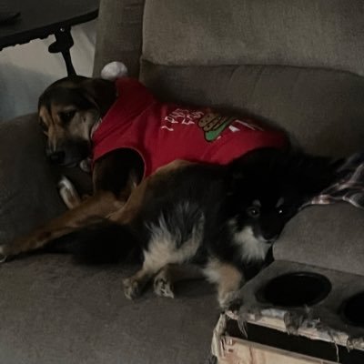 demmonslayer666's profile picture. 