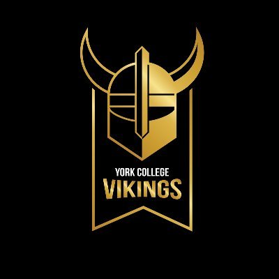 York Vikings Esports Profile