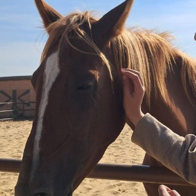 gha84955's profile picture. 4/6 Medical student  in YU 
أنا القَصائدُ،مطلعاً وخُتاماً