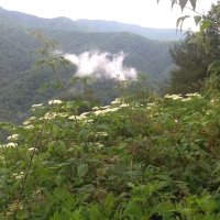 Faith4us (@faith2cu) 's Twitter Profile