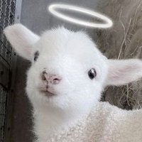 っ˕ ◟͈ ა (@agonyzes) 's Twitter Profile