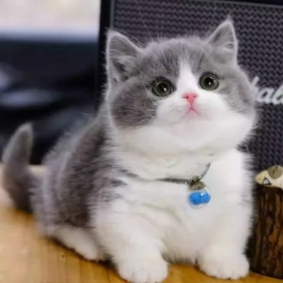 9047M67186's profile picture. Simple person || Likes culinary || Likes traveling || Watching football || Motor racing || Likes beautiful things 😁