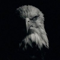 Mükremin Çıtır🦅 (@gokhankarabuk) Twitter profile photo