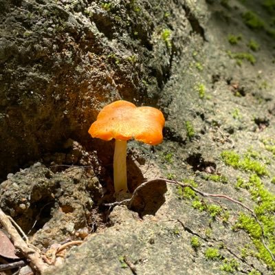 hanliyu2021's profile picture. 不复杂