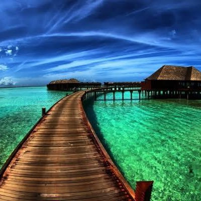 Bayrama46129700's profile picture. 