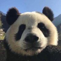 kenneth 🦭/acc (@justkennethape) 's Twitter Profile Photo