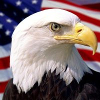 John DeMark (@demarkaction) 's Twitter Profile