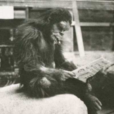 qwertypotamus's profile picture. 