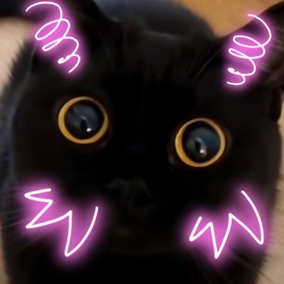 tororo039's profile picture. 🐶🐈‍⬛🐈🎸⛳️🏌️‍♀️🎣