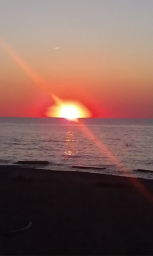 EmKondrich's profile picture. 