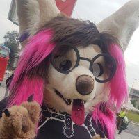 Comi fox 🔜 safe2025 Pawstral2025 (@comi_fox) 's Twitter Profile