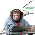 $TRUST (@trustme_bros) Twitter profile photo $TRUST (@trustme_bros) Twitter profile photo