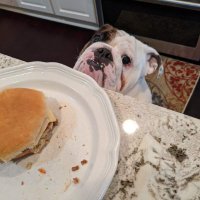 Whittsnake (@whittsnake) 's Twitter Profile