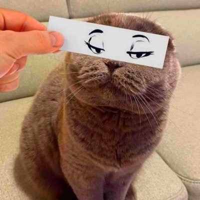 daubap1991's profile picture. 