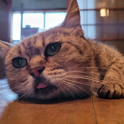 0sZ7J3dOVH68857's profile picture. 人生に興味がない割には好奇心で動くタイプ。頼られるのが弱いです。人を嫌いになれません。